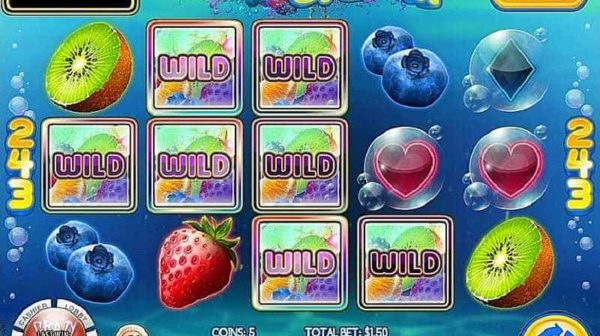 fruit splash automat zdarma