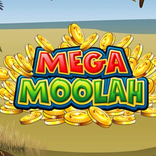 Ten, kdo se rozhodne roztočit automat Mega Moolah, to dělá pro jednu věc: chce jackpot! Kdy je šance na výhru Mega Moolah jackpotu nejvyšší?